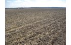 Property photo 17 - 127 Acres Offered in 4 Tracts